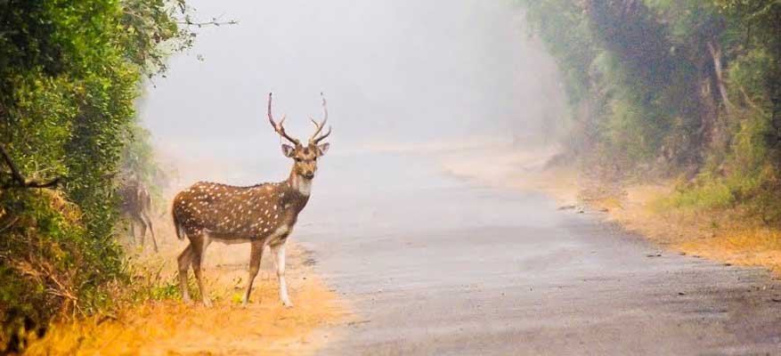 Delhi Bharatpur One Day Tour