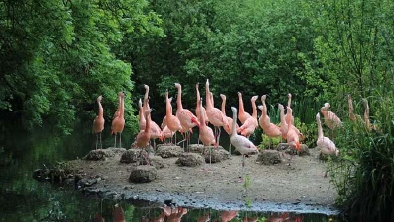 Keoladeo Ghana National Park