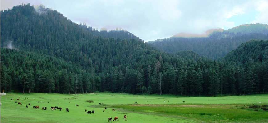 Incredible Himachal Tour Package