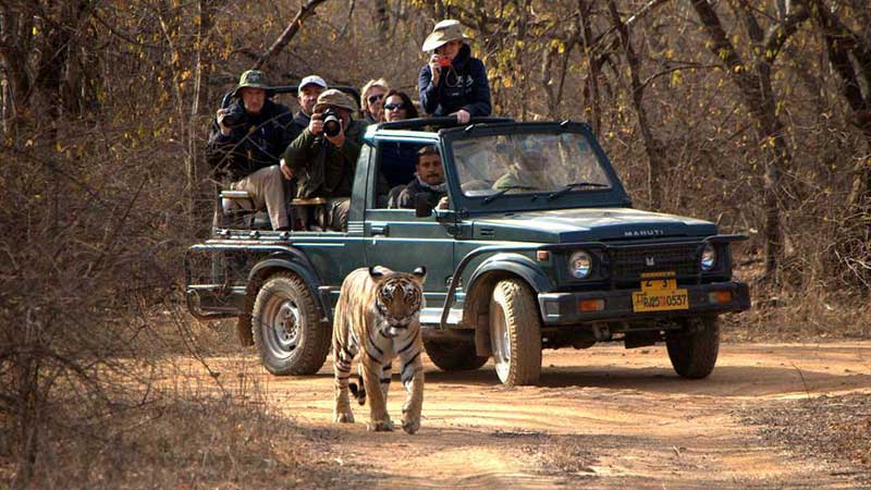 Golden Triangle Tour with Ranthambore