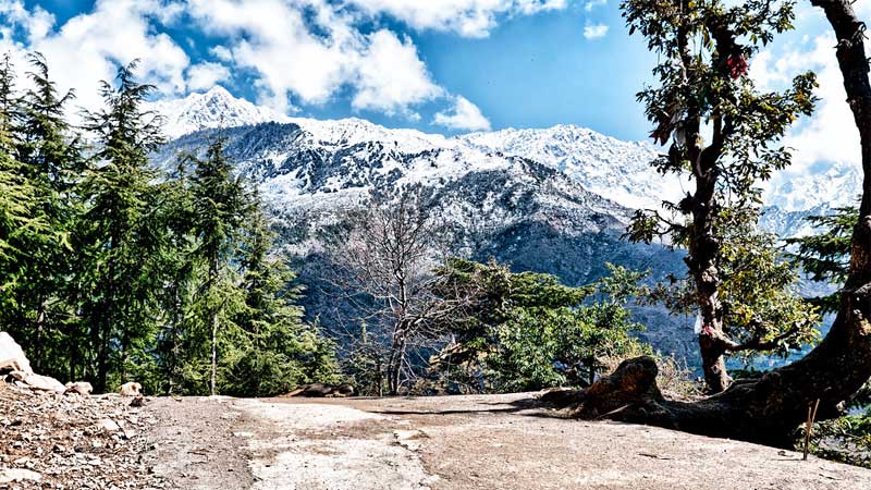 Himachal Hill Station Tour