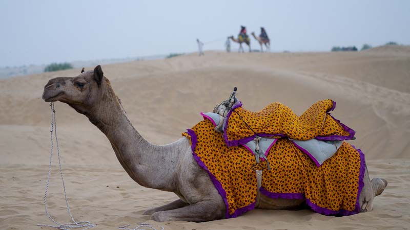 Jaisalmer