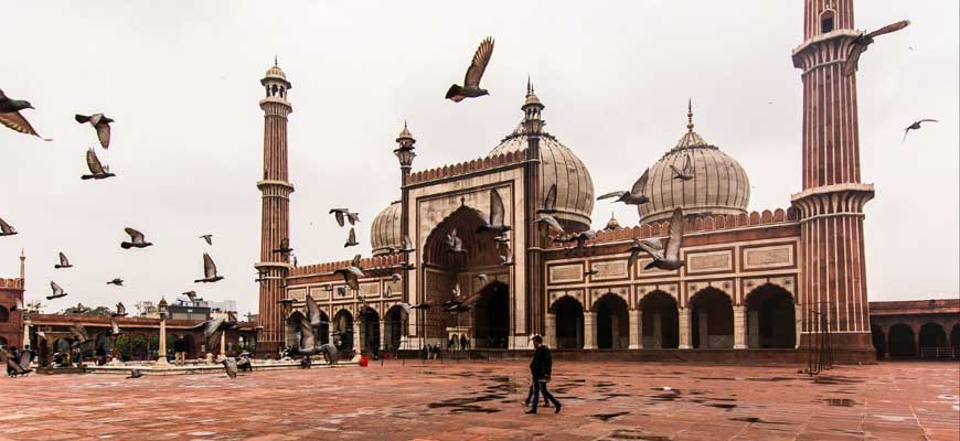 Delhi Sightseeing Tour