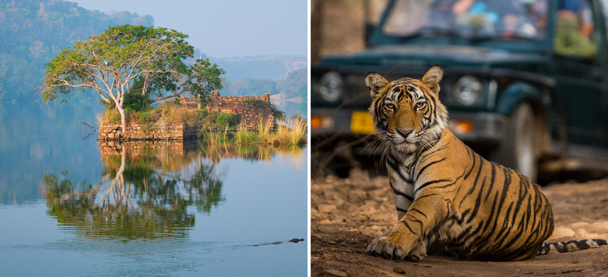 Delhi Jaipur Ranthambore Tour