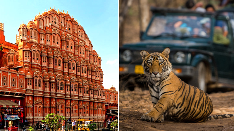 Delhi Jaipur Ranthambore Tour