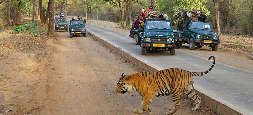 3 Days Delhi Ranthambore Tour