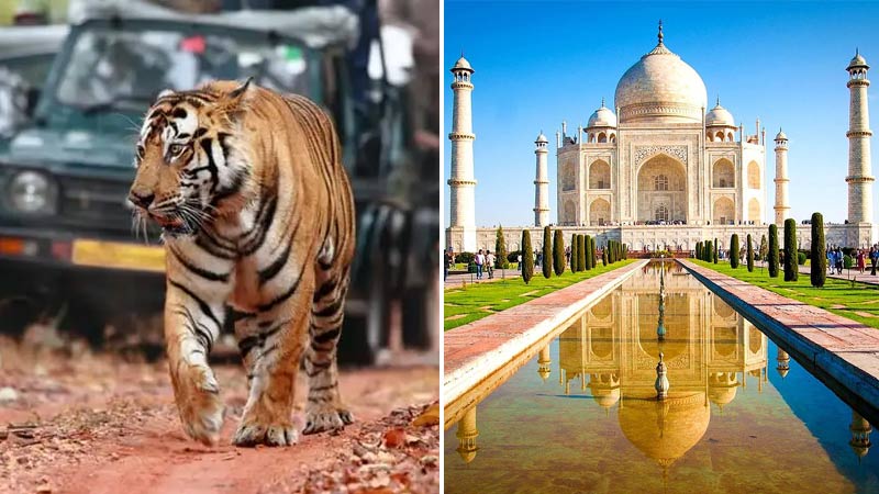 6 Days Delhi Jaipur Ranthambore Agra Tour