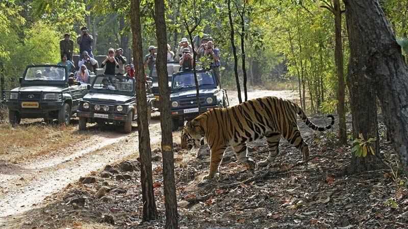 Ranthambore National Park